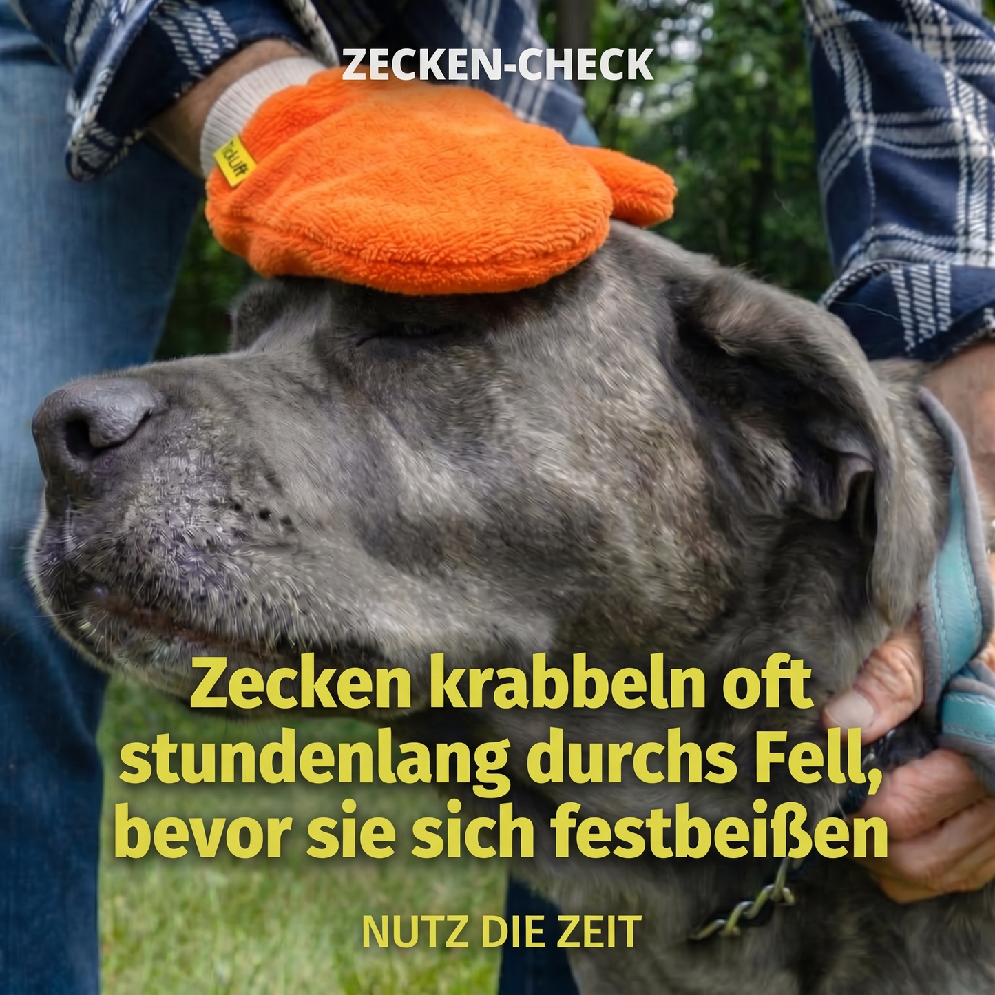 TickLift™